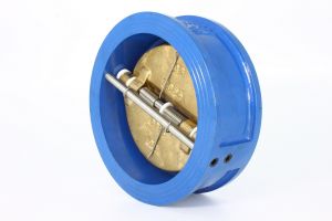 Double Swing Check Valves
